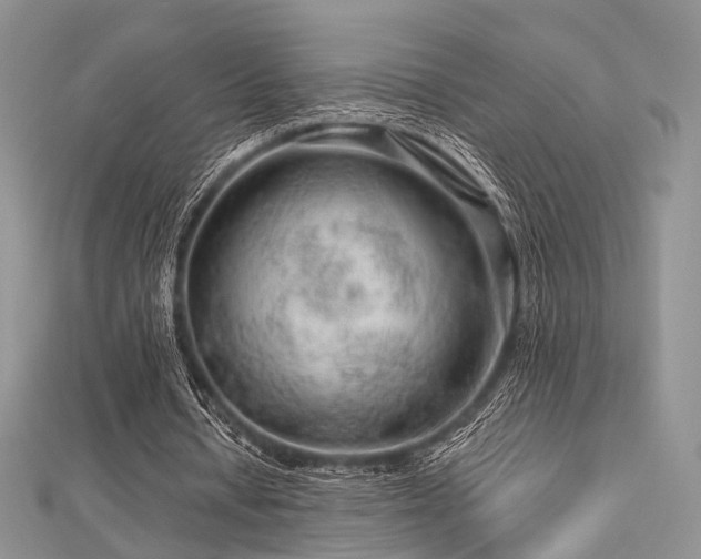 X0000112900434200908211520