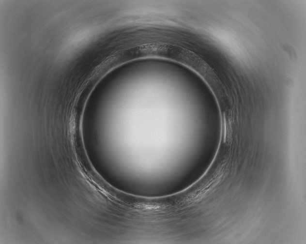 X0000112900435200908211520