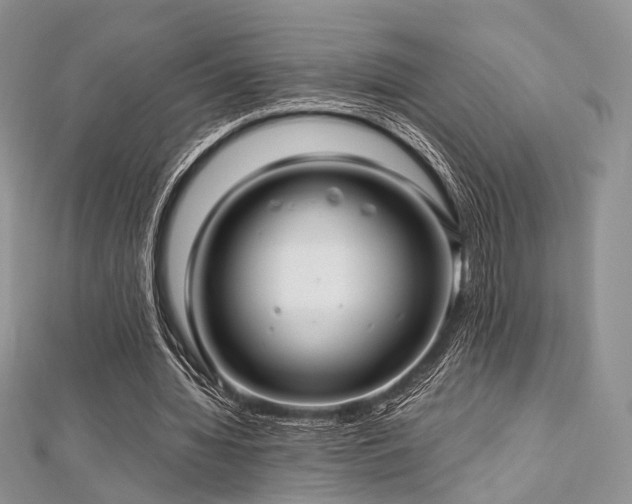 X0000112900436200908211520