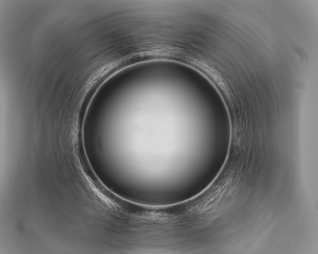 X0000112900437200908211520