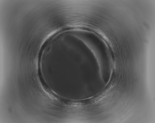 X0000112900438200908211520