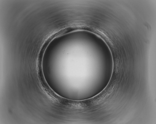 X0000112900439200908211520