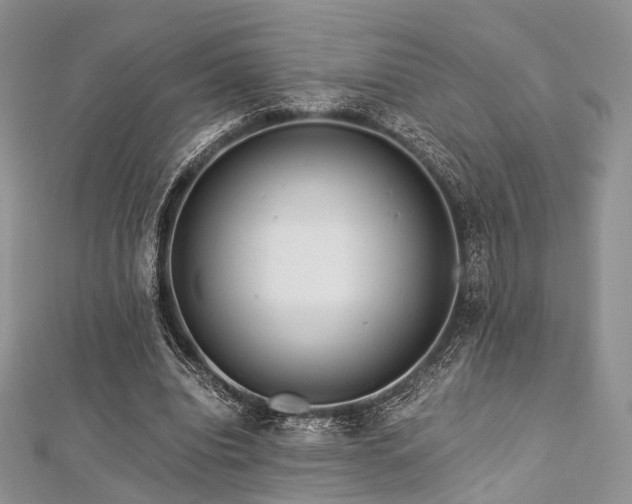 X0000112900440200908211520