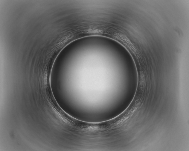 X0000112900441200908211520