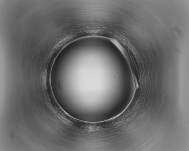 X0000112900442200908211520