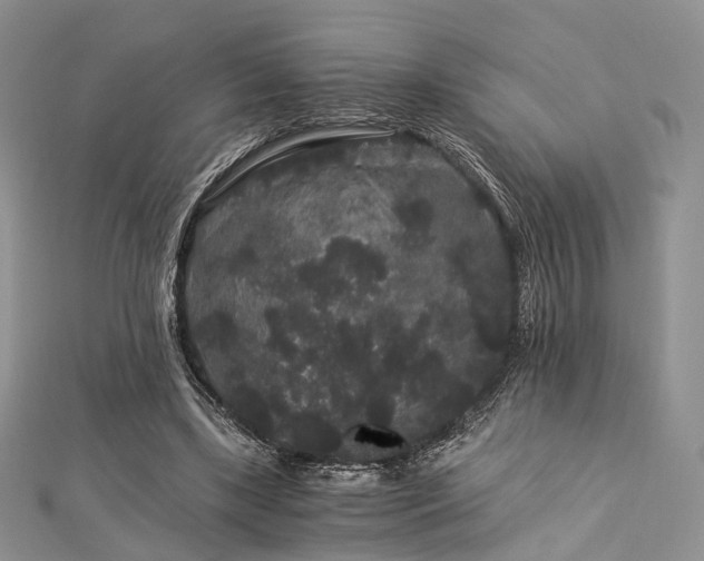 X0000112900443200908211520