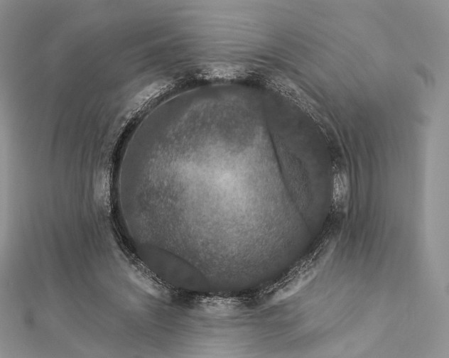 X0000112900444200908211520