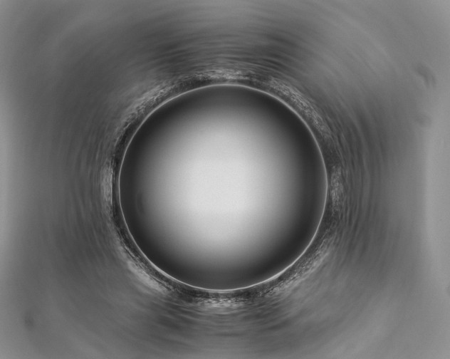 X0000112900445200908211520