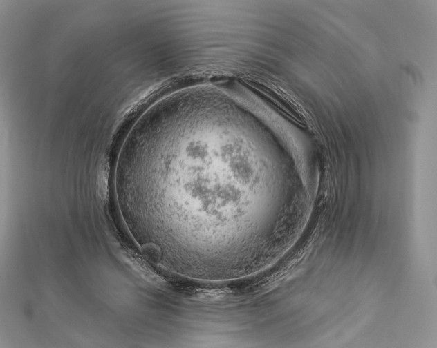 X0000112900446200908211520