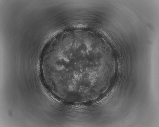 X0000112900447200908211520