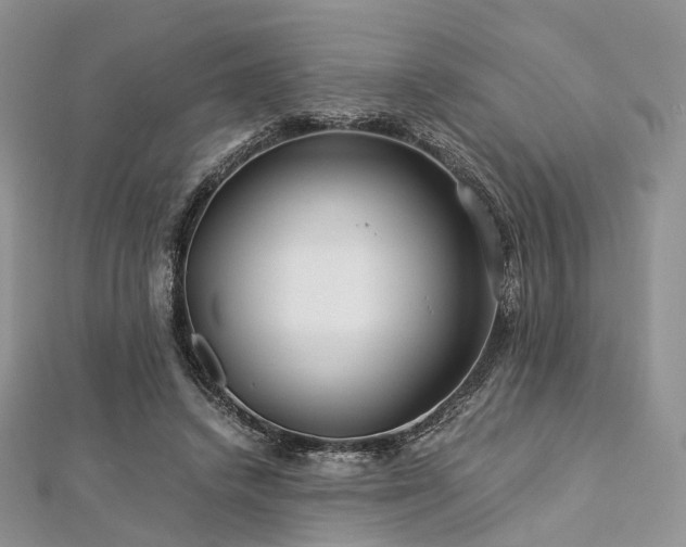 X0000112900448200908211520