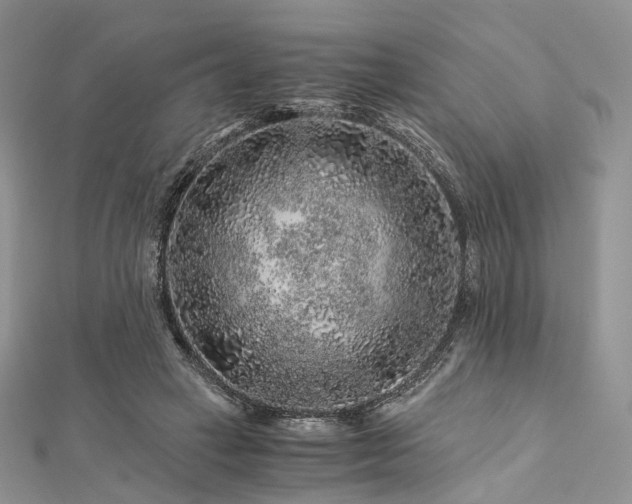 X0000112900449200908211520