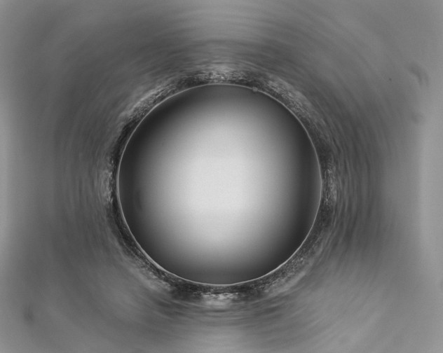 X0000112900450200908211520