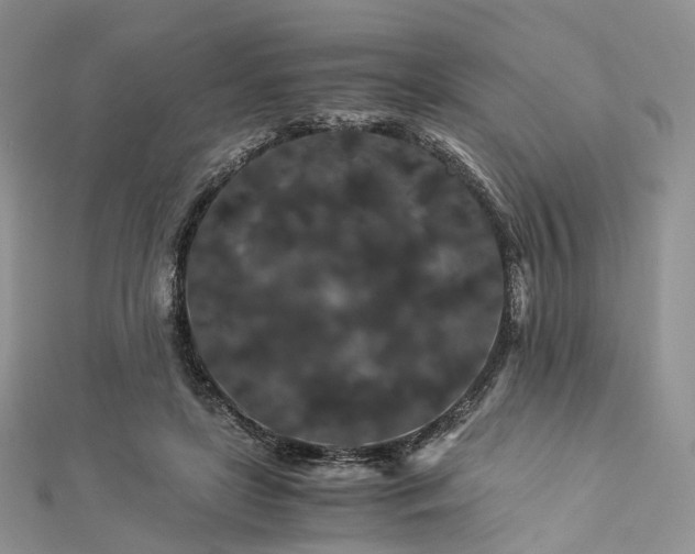 X0000112900451200908211520