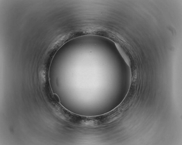 X0000112900452200908211520