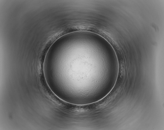 X0000112900453200908211520