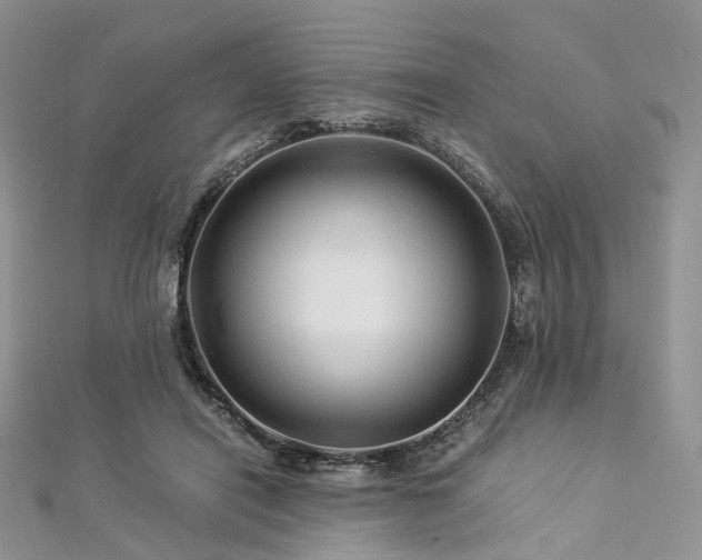 X0000112900454200908211520