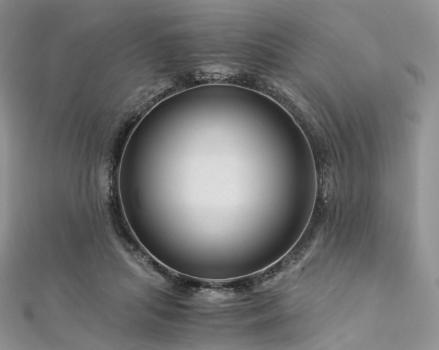 X0000112900455200908211520