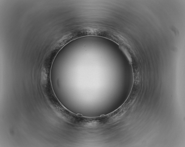 X0000112900456200908211520