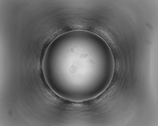 X0000112900457200908211520