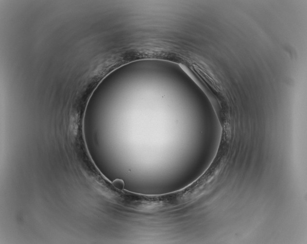 X0000112900458200908211520