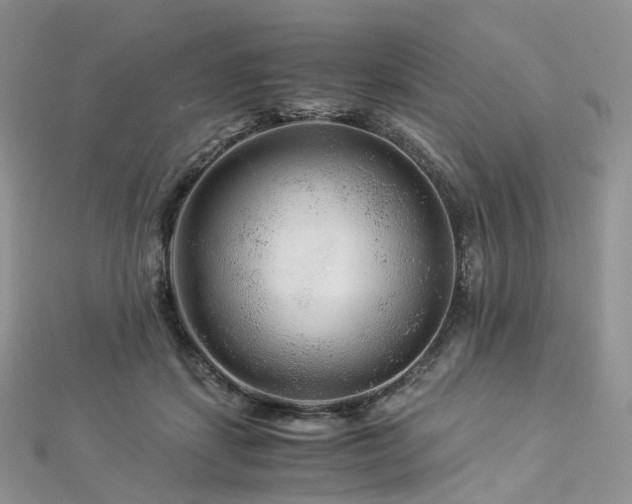 X0000112900459200908211520