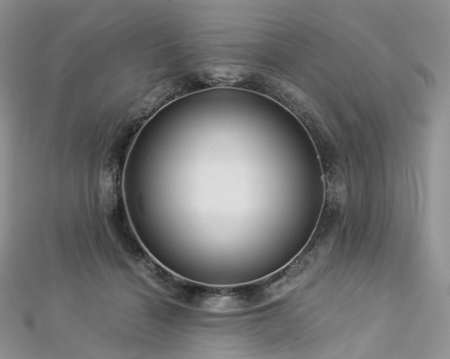 X0000112900460200908211520