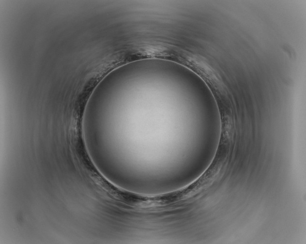 X0000112900461200908211520