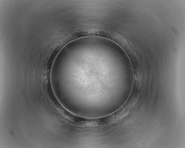 X0000112900462200908211520