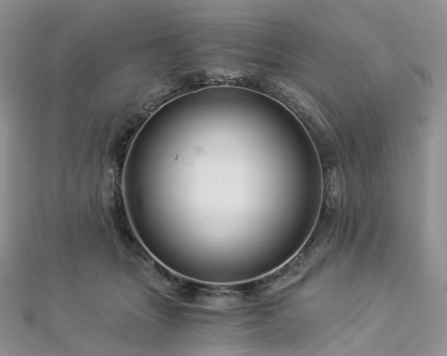 X0000112900463200908211520