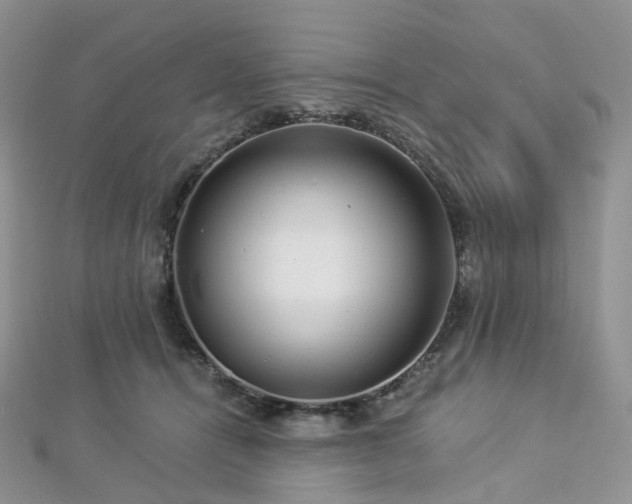 X0000112900464200908211520