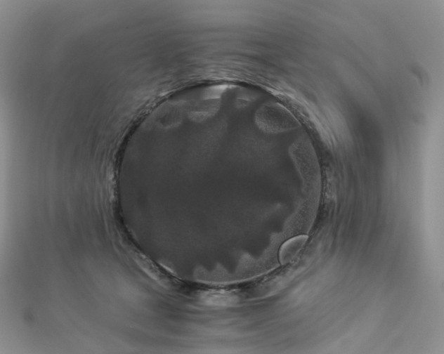 X0000112900465200908211520