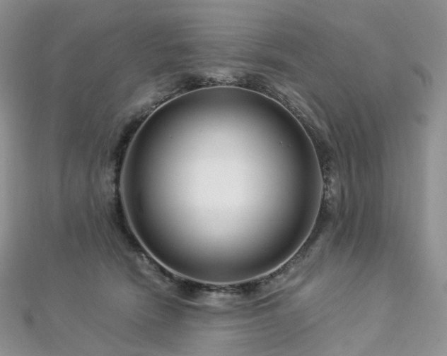 X0000112900466200908211520