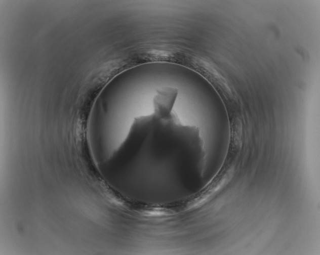 X0000112900467200908211520