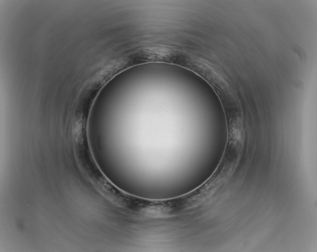 X0000112900468200908211520