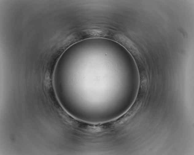 X0000112900469200908211520