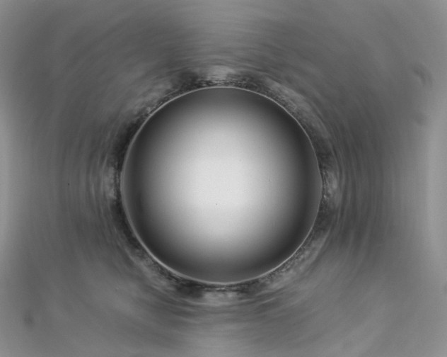 X0000112900470200908211520