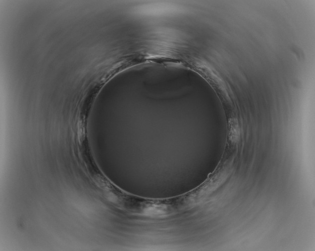 X0000112900471200908211520