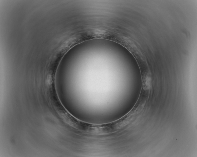 X0000112900472200908211520