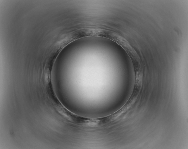 X0000112900474200908211520