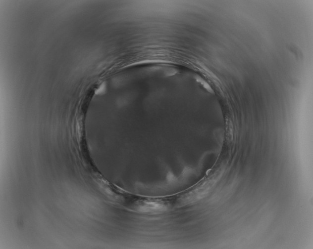 X0000112900475200908211520