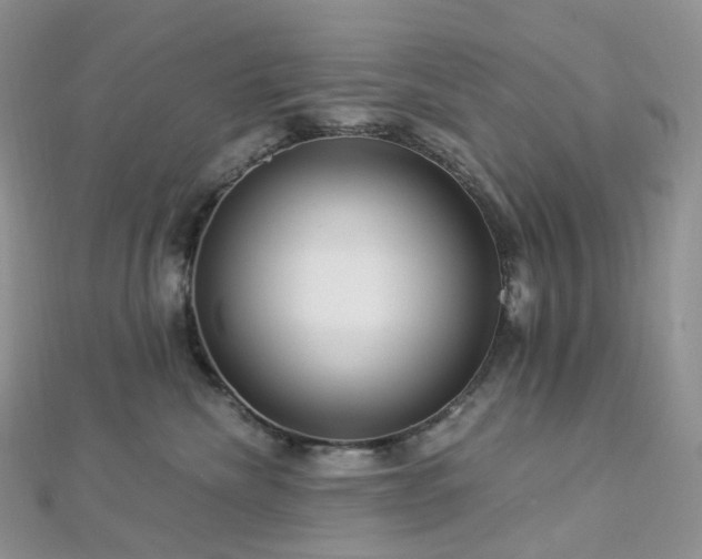 X0000112900476200908211520