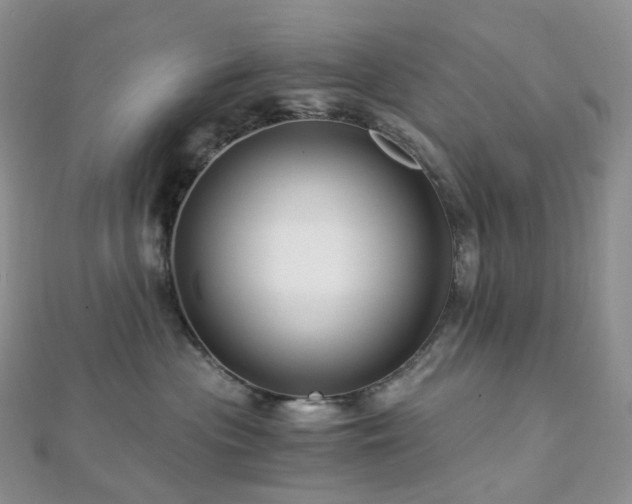 X0000112900477200908211520