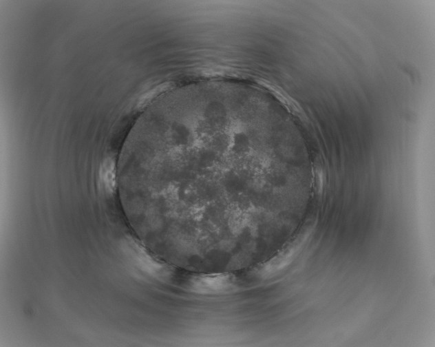 X0000112900479200908211520