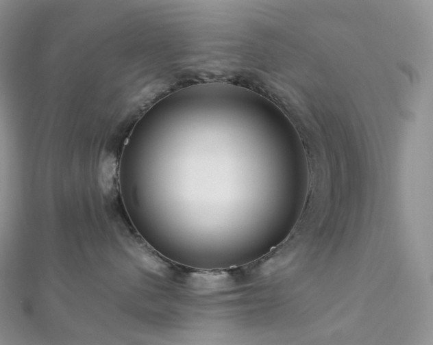 X0000112900480200908211520