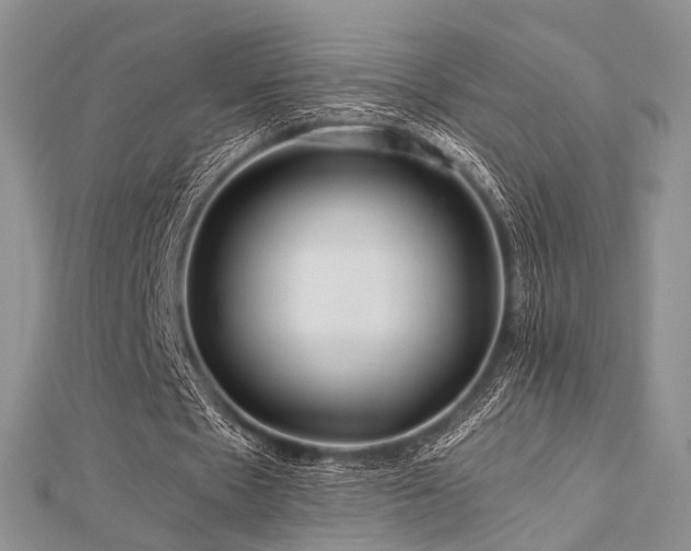 X0000112900481200908211520