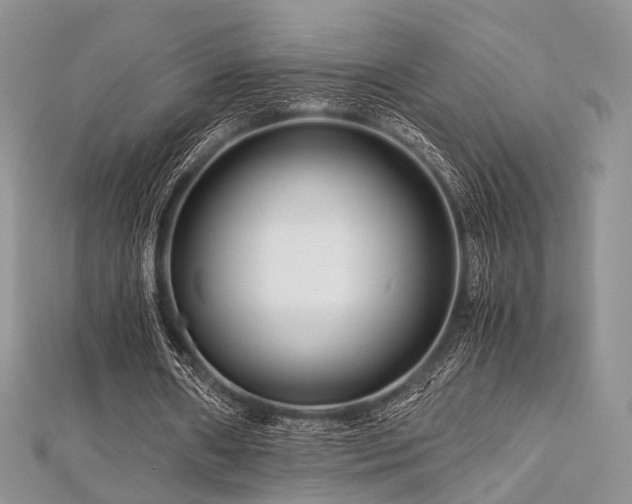 X0000112900482200908211520