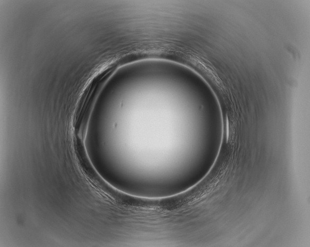 X0000112900483200908211520