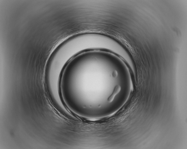 X0000112900484200908211520