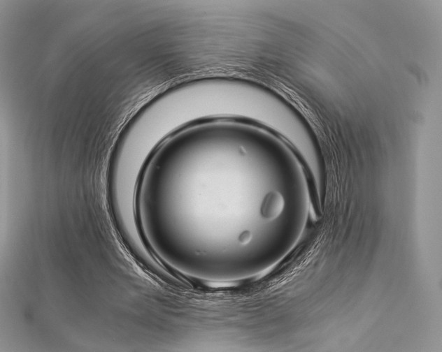 X0000112900485200908211520